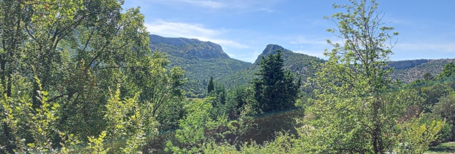 Terrain  1592 m² à vendre à Plan-d'Aups-Sainte-Baume (83640)