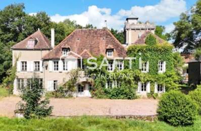 Chateau En Bourgogne — photo du bien