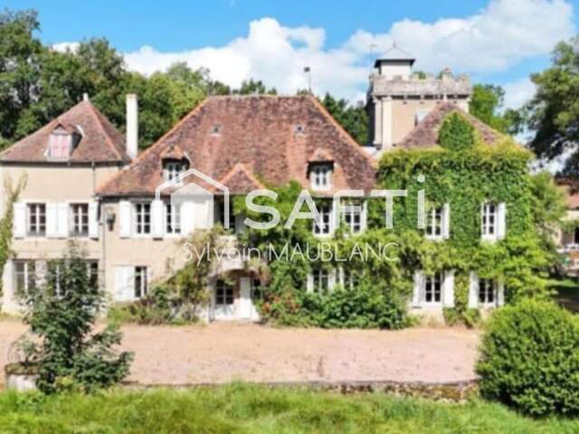 Chateau En Bourgogne — photo du bien