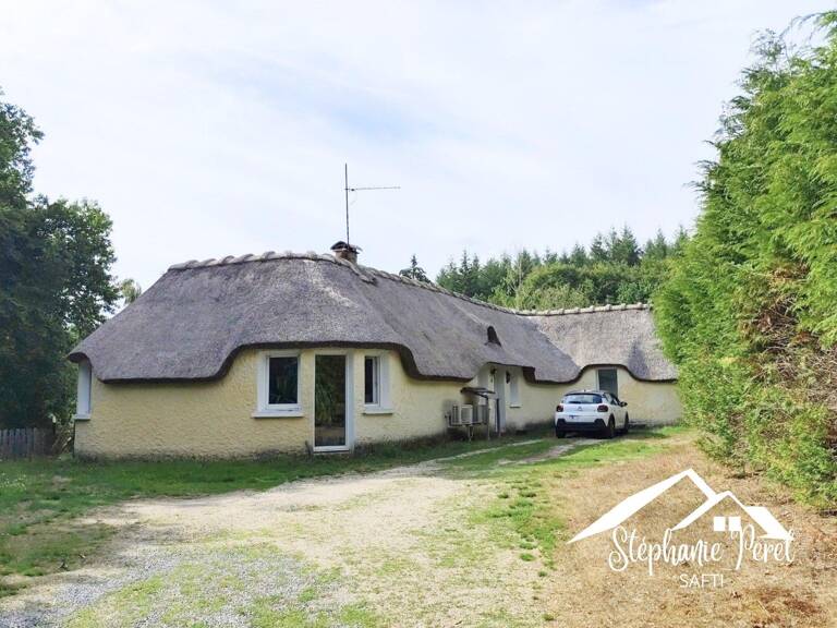 Maison de plain-pied 127 m²  3 chambres + bureau  Terrain 9 066 m² — photo 1