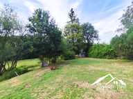 Maison de plain-pied 127 m²  3 chambres + bureau  Terrain 9 066 m² — photo 3