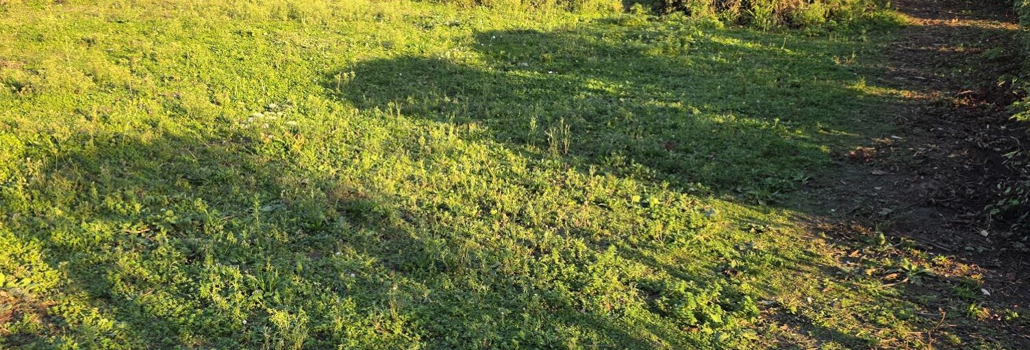 Terrain  1000 m² à vendre à Fécamp (76400)