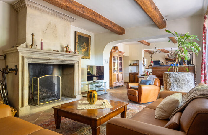 A VENDRE DOMAINE PROVENÇAL D'EXCEPTION À SAINT-VICTORET 1373 — photo 3
