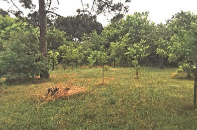 Terrain  51000 €