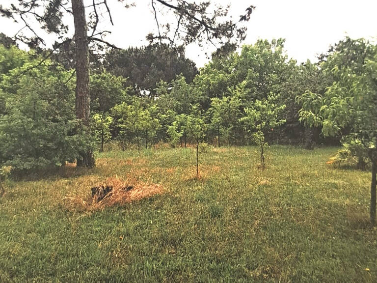 TERRAIN CONSTRUCTIBLE 475m2 - SAINT-YZAN-DE-SOUDIAC — photo 1