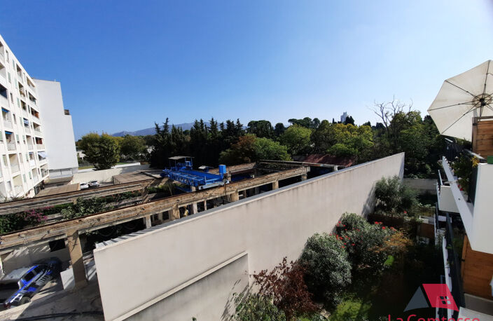 T1 TIMONE SAINT PIERRE — photo 2