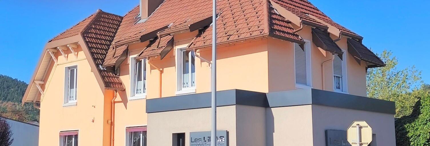 Commerce 6 Pièces 249 m² à vendre à Vagney (88120)