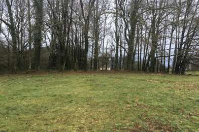 Terrain  50000 €