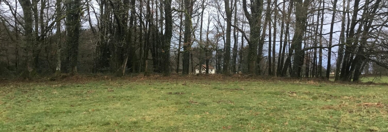 Terrain  4630 m² à vendre à Bonnac-la-Côte (87270)