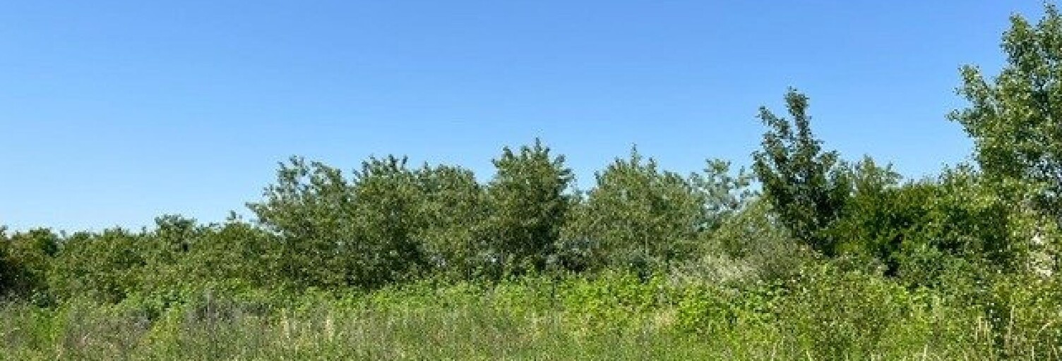 Terrain  423 m² à vendre à Wittelsheim (68310)