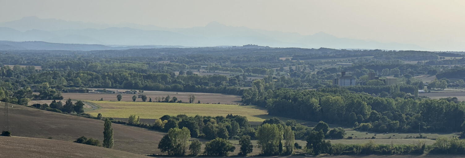 Photo N° 2