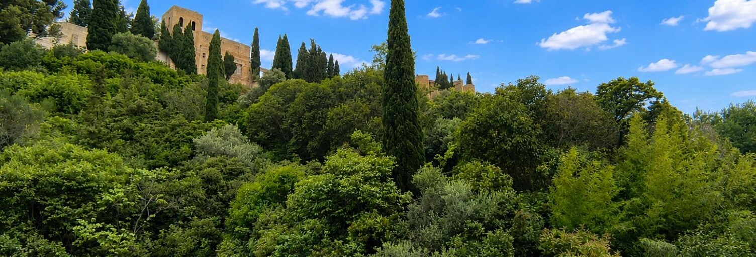 Appartement 2 Pièces 46 m² à vendre à Cassis (13260)
