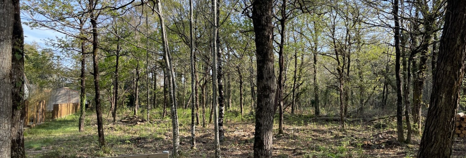 Terrain  2308 m² à vendre à Notre-Dame-de-Riez (85270)