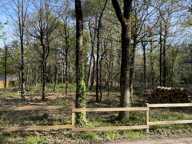 Vente Terrain 2 308 m&sup2; — photo 2
