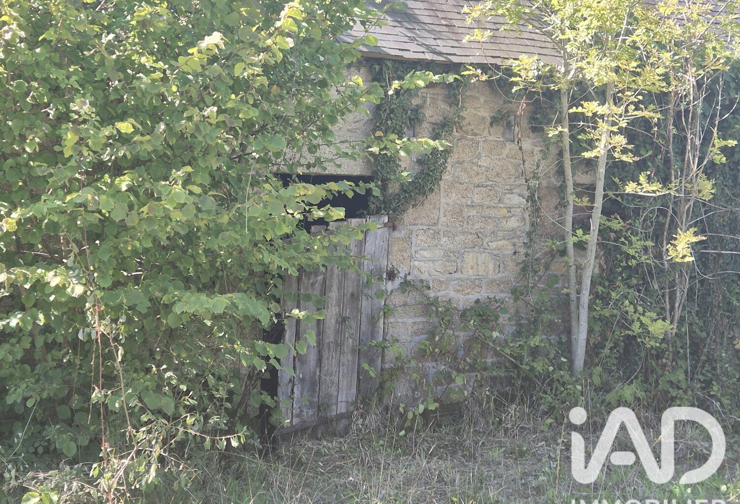 Vente Maison de campagne 3 pièces — photo 1