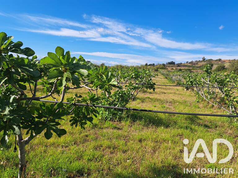 Vente Agriculture, Viticulture — photo 1