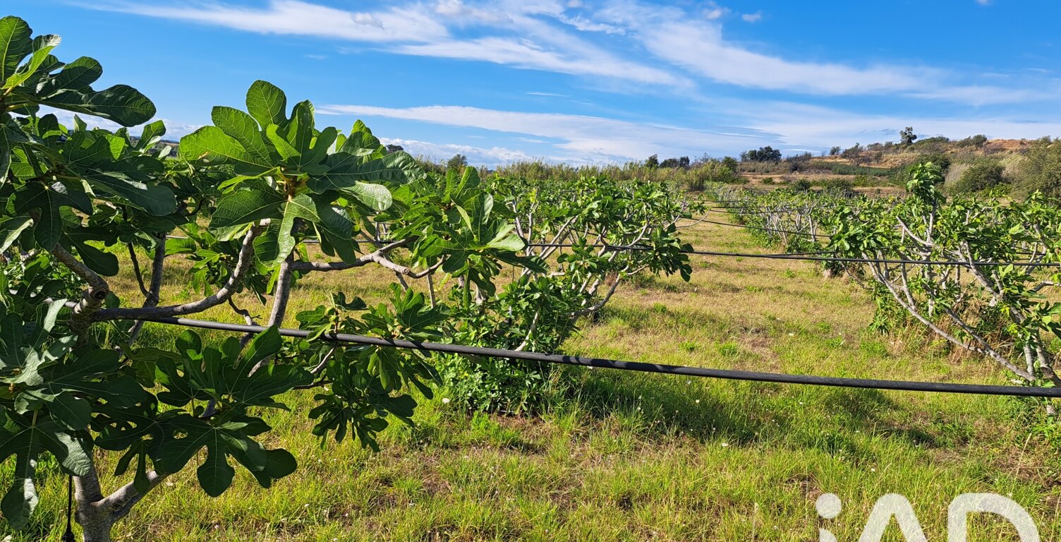 Vente Agriculture, Viticulture — photo 1