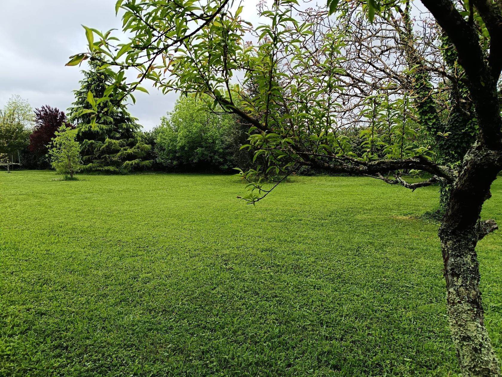 Terrain à bâtir de 2500 m² à ISSIGEAC (24)
