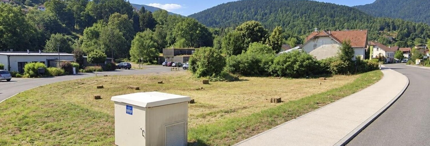 Photo N° 2