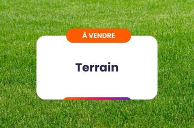 Terrain  55000 €