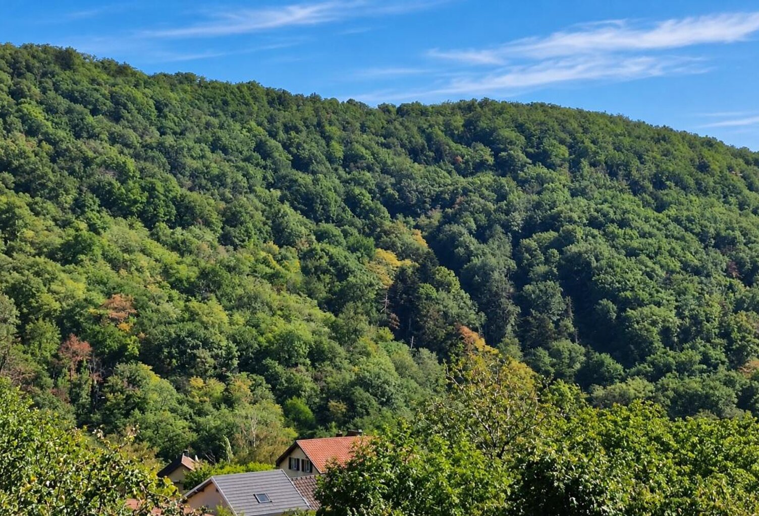 RIMBACH-ZELL – MAISON ENVIRON 99 M² – GARAGE –TERRASSE - POTENTIEL HABITATION - PREVOIR TRAVAUX — photo 1