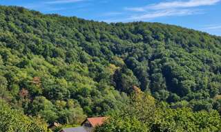 Maison 5 Pièces 99 m² à vendre à Rimbachzell (68500)