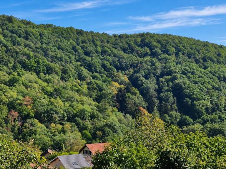 RIMBACH-ZELL – MAISON ENVIRON 99 M² – GARAGE –TERRASSE - POTENTIEL HABITATION - PREVOIR TRAVAUX — photo 1