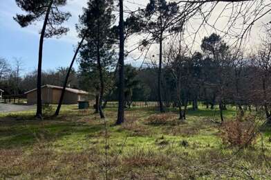 Terrain  52000 €