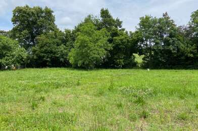 Terrain  195000 €