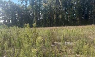Terrain  4300 m² à vendre à Chamadelle (33230)