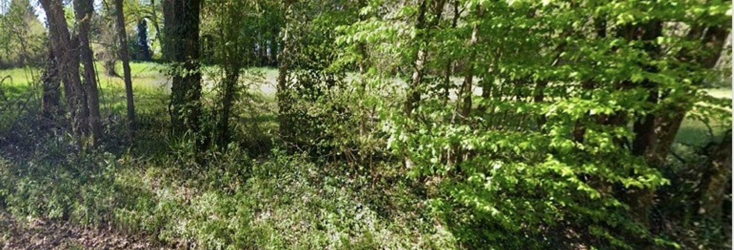 Terrain  800 m² à vendre à Saint-Georges-des-Coteaux (17810)