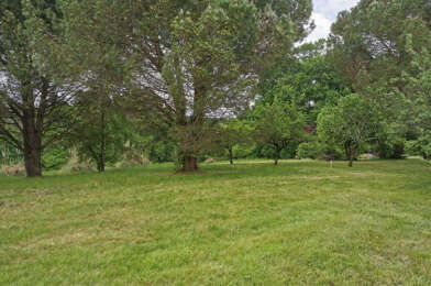 Terrain  172000 €