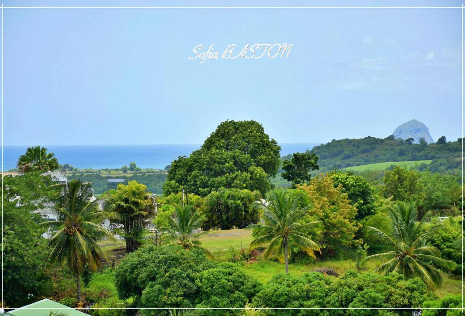 À vendre - Sainte-Luce Martinique - Propriété 5 logements indépendants - 241 m² habitables - Vue mer - P10 — photo 1
