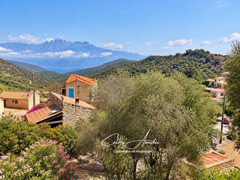 Osani (Corse) : A vendre, maison en pierre, avec deux appartements T3 indépendants, à 3Km de la plage — photo 1