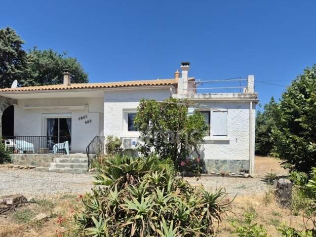 ALÉRIA – VADINA | MAISON 118 M² SUR 3 200 M² DE TERRAIN À 2 KM DE LA MER – FORT POTENTIEL INVESTISSEUR — photo du bien