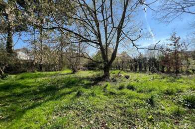 Terrain  59000 €