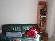 Appartement et local — photo 4