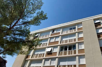Appartement 3 pièces 411 €