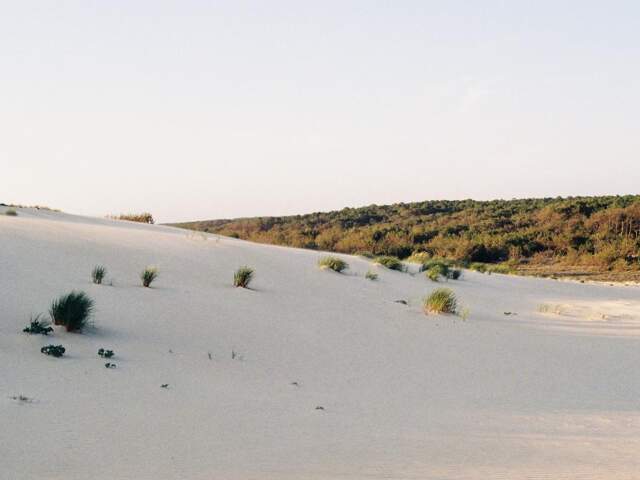 CONTIS — photo du bien