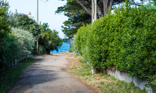 Photo N° 2