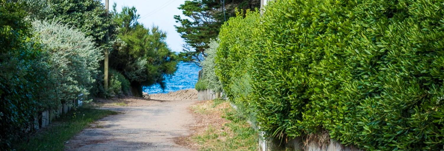 Photo N° 2