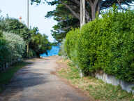 La Turballe (44 420) T2 avec jardin — photo 3