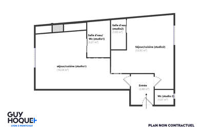 Grange Blanche - Appartement divisé en 2 studios loués en meublé - proximité Monplaisir - Lyon 3ème (69003) — photo du bien