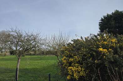 Terrain  49000 €