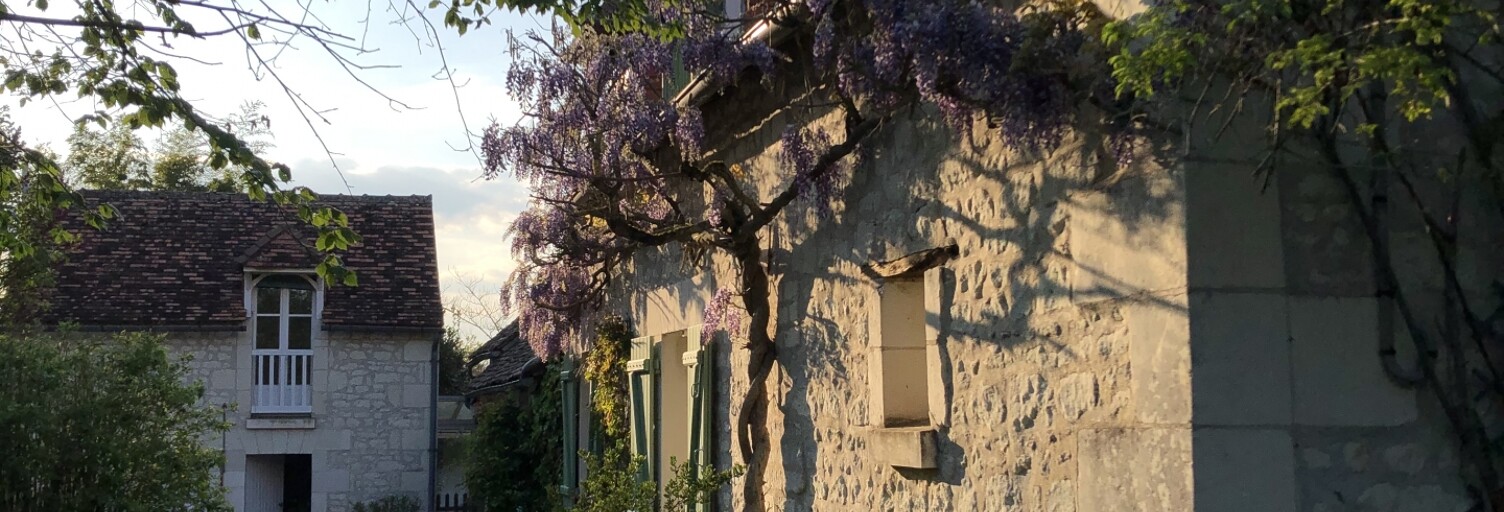 Maison 9 Pièces 170 m² à vendre à Cussay (37240)