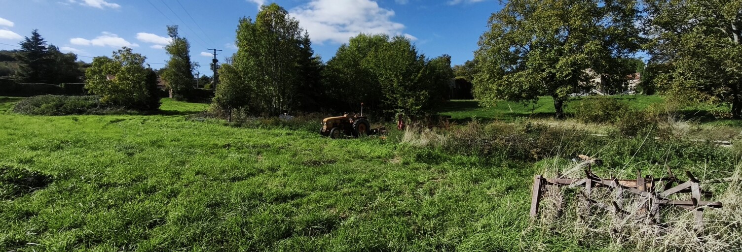 Photo N° 2