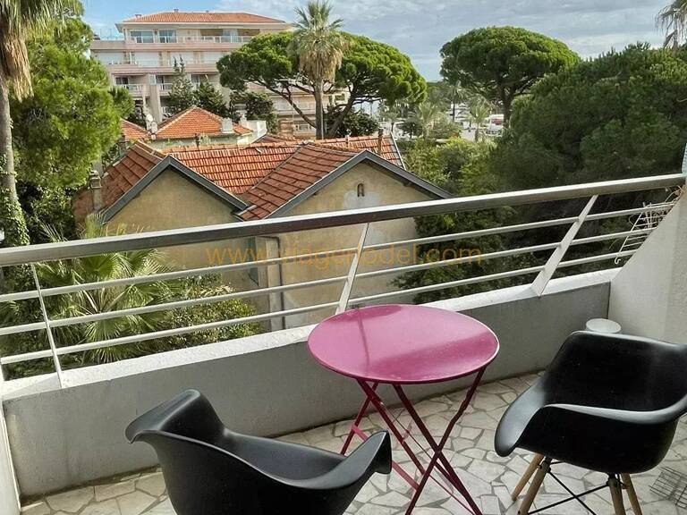 Ref – 10 156 - LOCATION MEUBLEE GOLFE JUAN Bord de mer - Capitainerie — photo 1