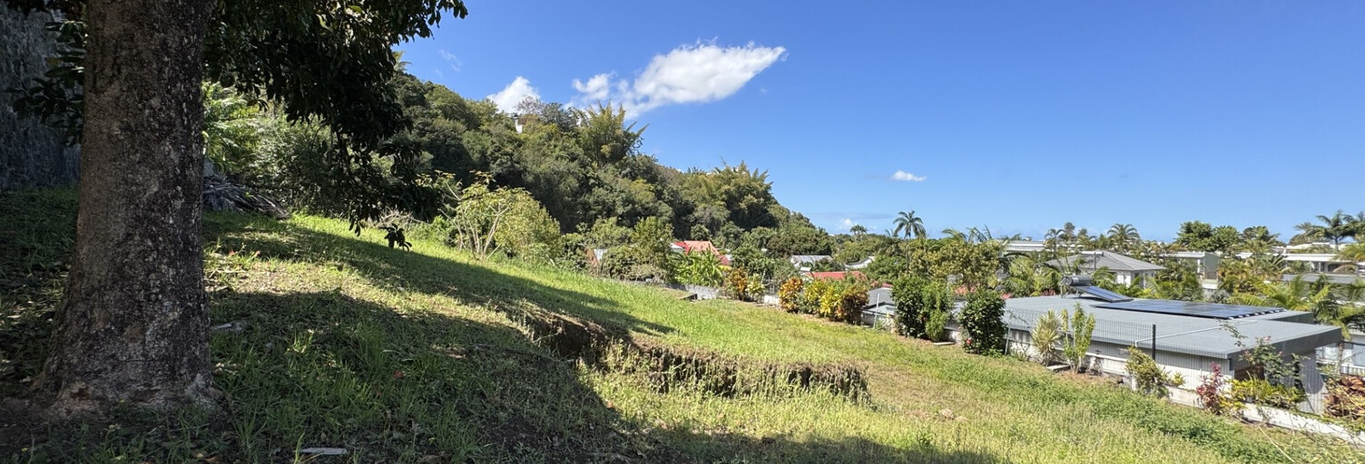 Terrain  710 m² à vendre à Entre-Deux (97414)