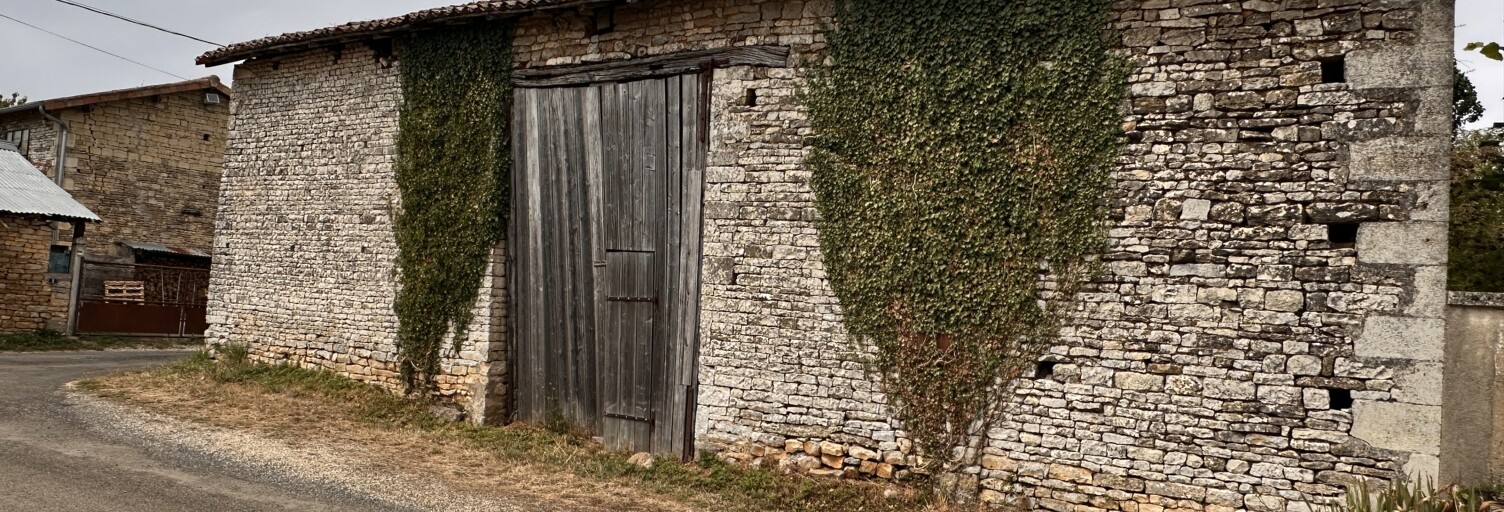 Maison 1 Pièce 90 m² à vendre à Chaunay (86510)