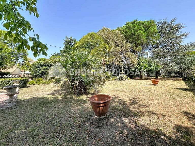 Terrain — photo 1